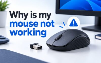 Why Is My Mouse Not Working? 11 Quick Fixes That Actually Work